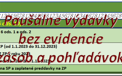 Pomôcka – Paušálne výdavky (bez evidencie zásob a pohľadávok)